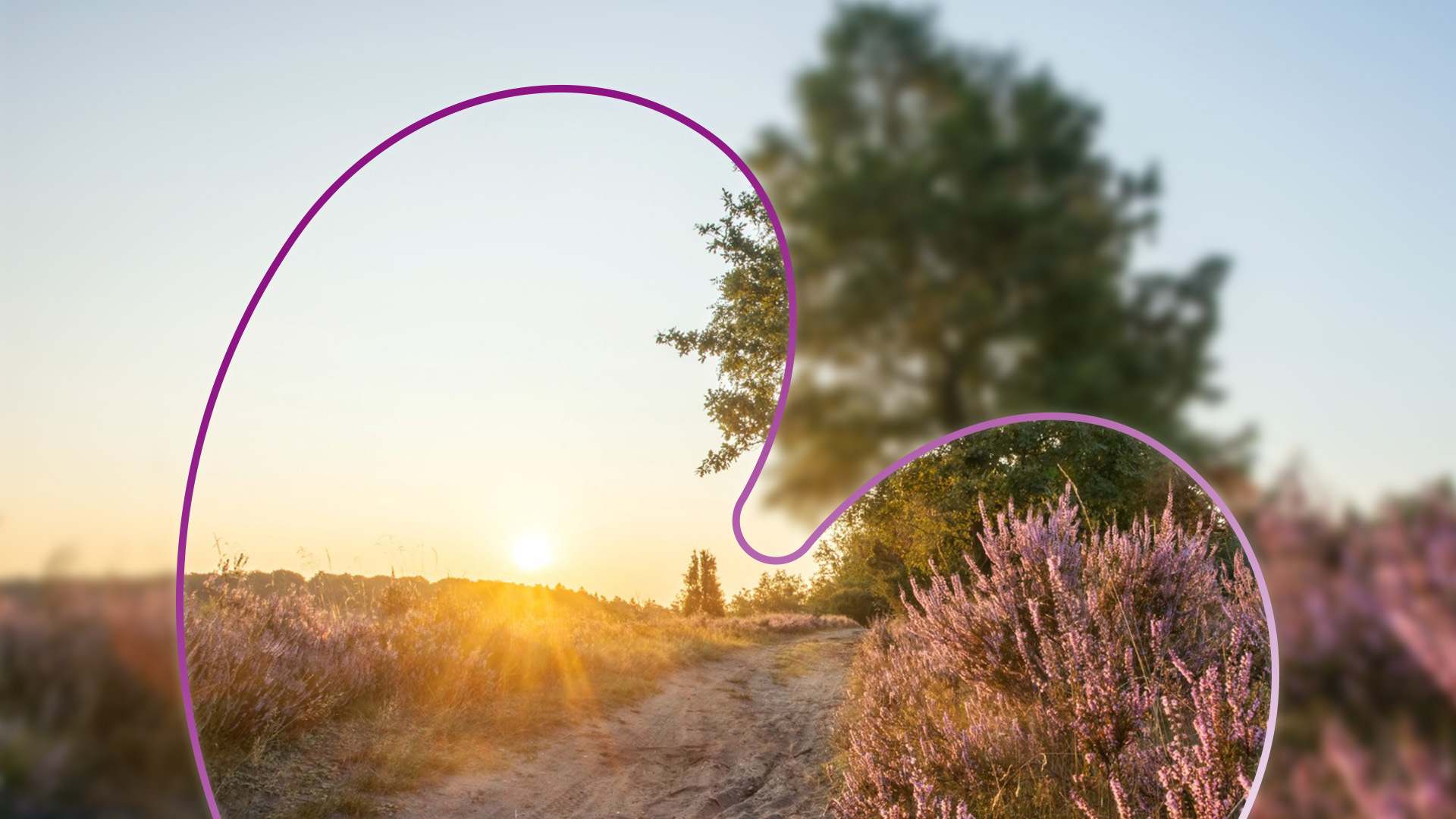 Familie in de Friese natuur